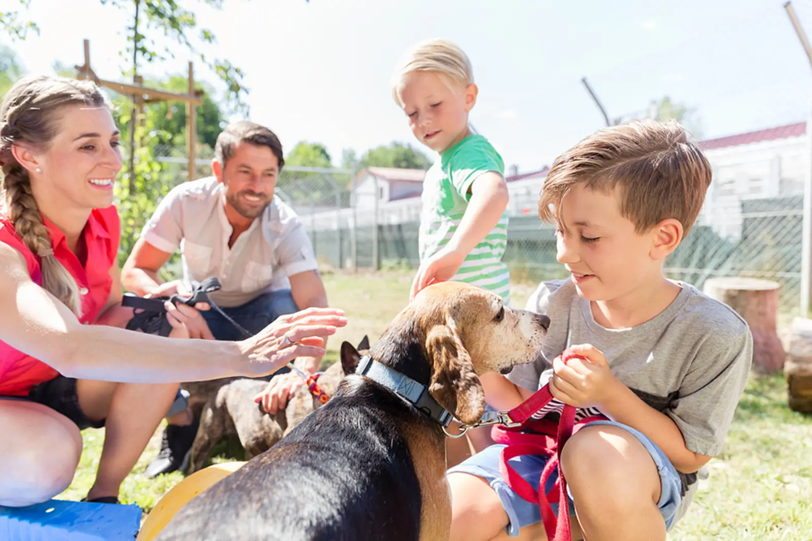 Pets and Property: A Smart Leasing Strategy for Lynnwood Landlords